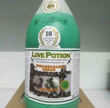 DUNG DỊCH  LOVE POTION